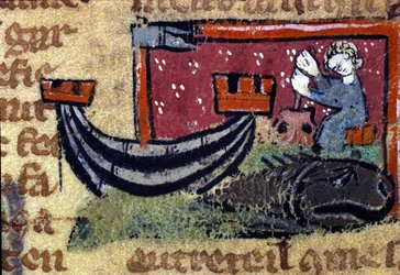 Safari ya St Brendan the Navigator swed